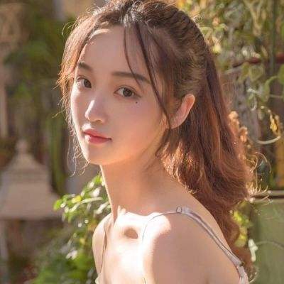 果盘宠物小精灵xybt公益服下载